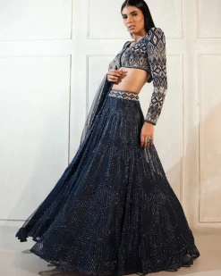 Navy Blue Darya Lehenga Set