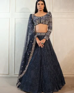 Navy Blue Darya Lehenga Set