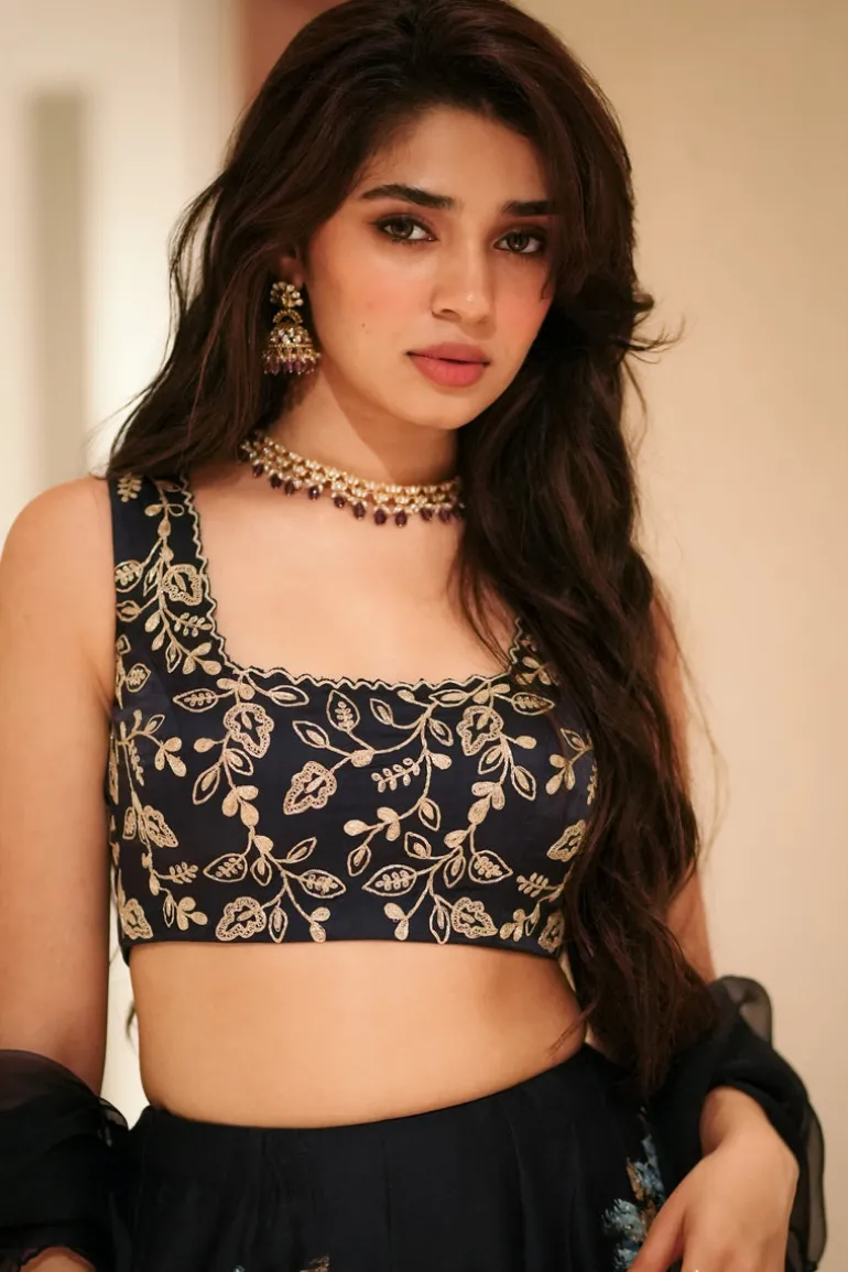 Navy Blue Silk Chanderi Hand-Painted Lehenga Set