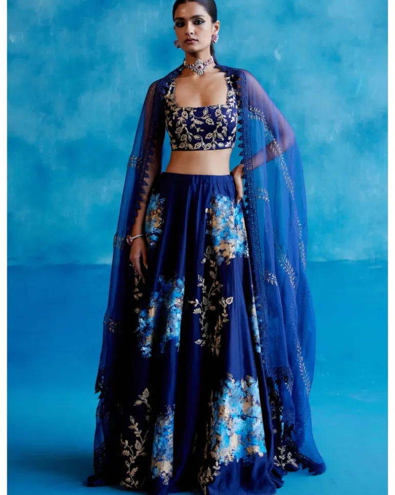 Navy Blue Silk Chanderi Hand-Painted Lehenga Set