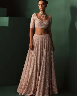 Neesa Lehenga Set