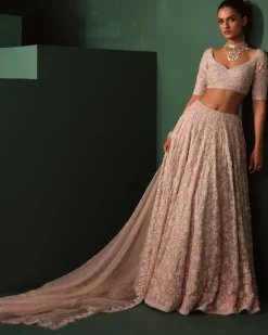 Neesa Lehenga Set