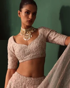 Neesa Lehenga Set