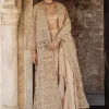 Nikhar Borgia Coat Sari Set