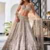 Nitya Grey Embroidered Organza Lehenga Set