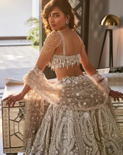 Nitya Grey Embroidered Organza Lehenga Set