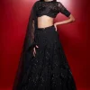 Noir Iris Skein Lehenga with Beaded Blouse and Dupatta