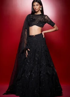 Noir Iris Skein Lehenga with Beaded Blouse and Dupatta