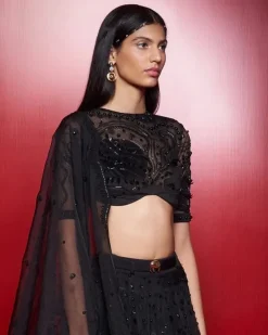 Noir Iris Skein Lehenga with Beaded Blouse and Dupatta