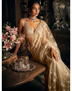 Nude Applique Sari Set