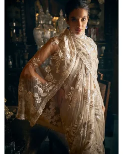 Nude Applique Sari Set