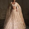 Nude Paisley Lehenga Set