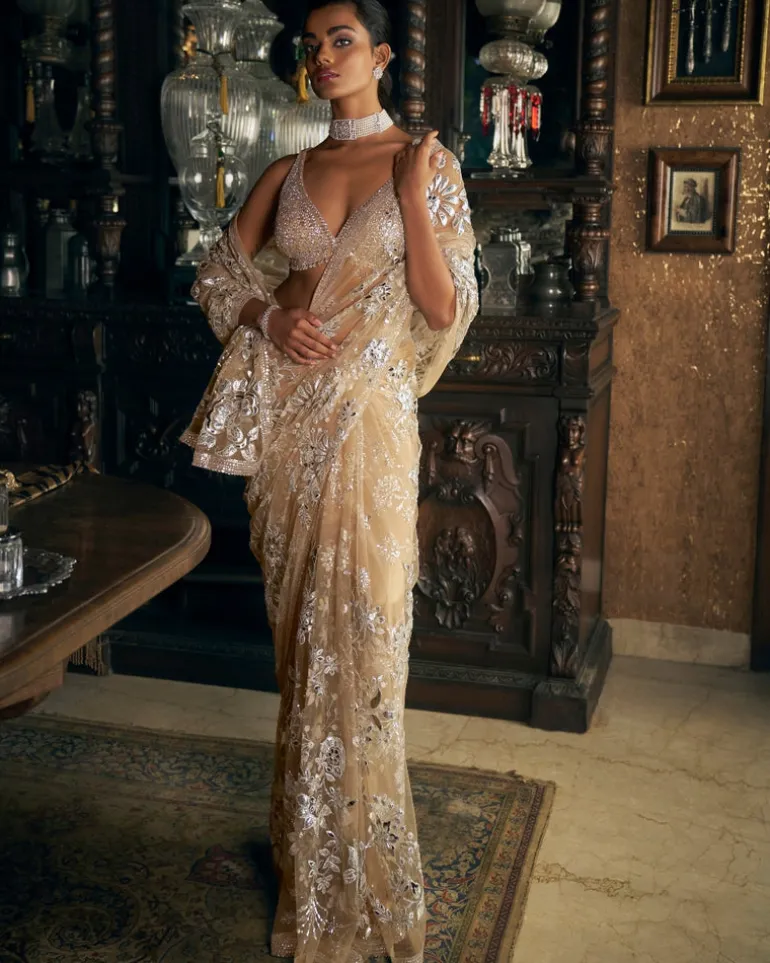 Nude Silver Applique Sari
