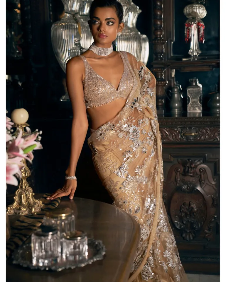 Nude Silver Applique Sari