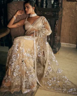Nude Silver Applique Sari