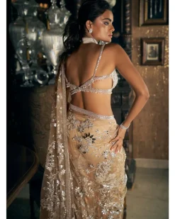 Nude Silver Applique Sari