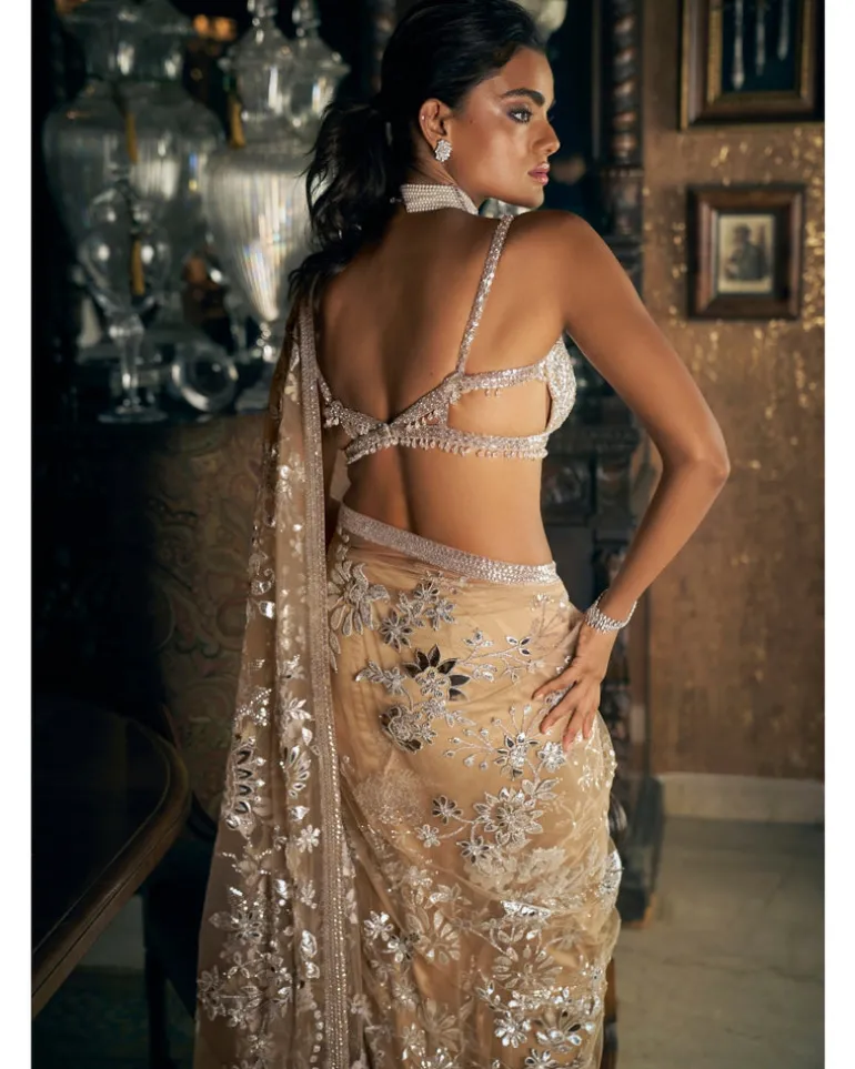 Nude Silver Applique Sari