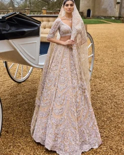 Nude Silver Embroidered Lehenga Set