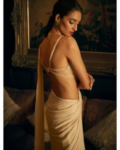 Nude Stitched Embroidered Sari Set
