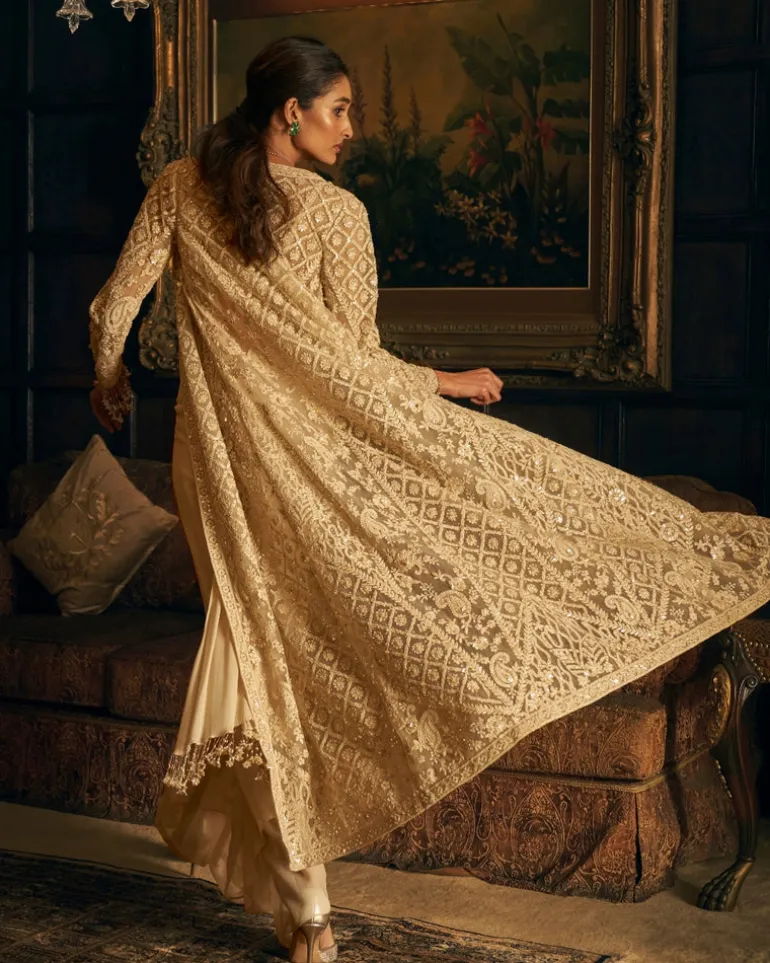Nude Stitched Embroidered Sari Set