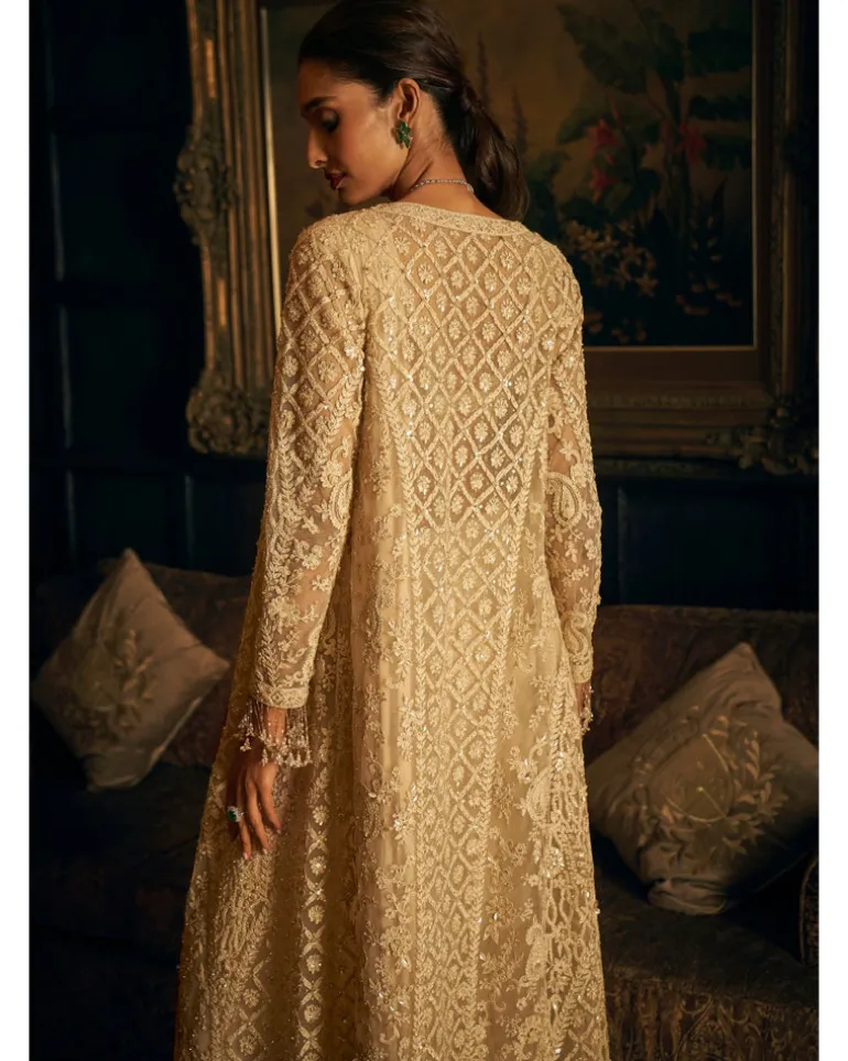 Nude Stitched Embroidered Sari Set