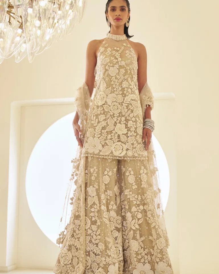 Nude Three-Dimensional Sharara Set