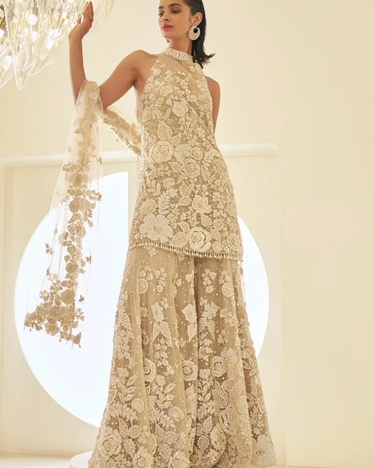 Nude Three-Dimensional Sharara Set