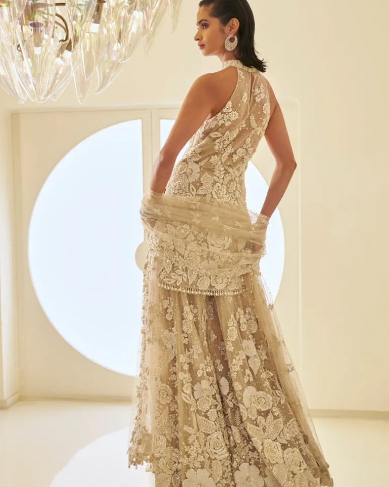 Nude Three-Dimensional Sharara Set