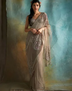 Nude Tulle Embroidered Sari Set