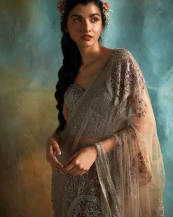 Nude Tulle Embroidered Sari Set