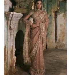 Old Rose Sequin And Moti Work Sari Set