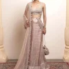 Old Rose Silk Tissue Godet Sari Set