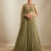 Olive Green Net Crepe Line Lehenga Set