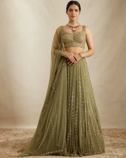 Olive Green Net Crepe Line Lehenga Set