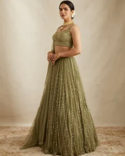 Olive Green Net Crepe Line Lehenga Set