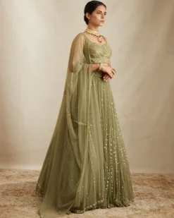 Olive Green Net Crepe Line Lehenga Set