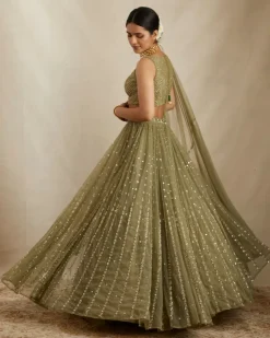 Olive Green Net Crepe Line Lehenga Set