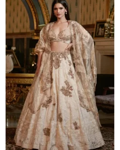 Omaa Chikankari Lehenga Set