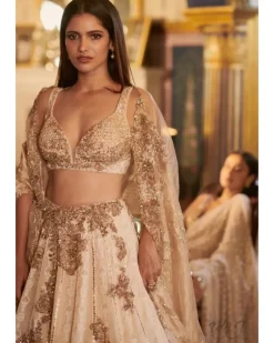 Omaa Chikankari Lehenga Set