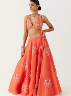 Orange Dori And Sequins Embroidered Lehenga Set
