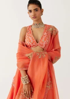Orange Dori And Sequins Embroidered Lehenga Set