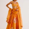 Orange Silk Chanderi Hand-Painted Lehenga Set