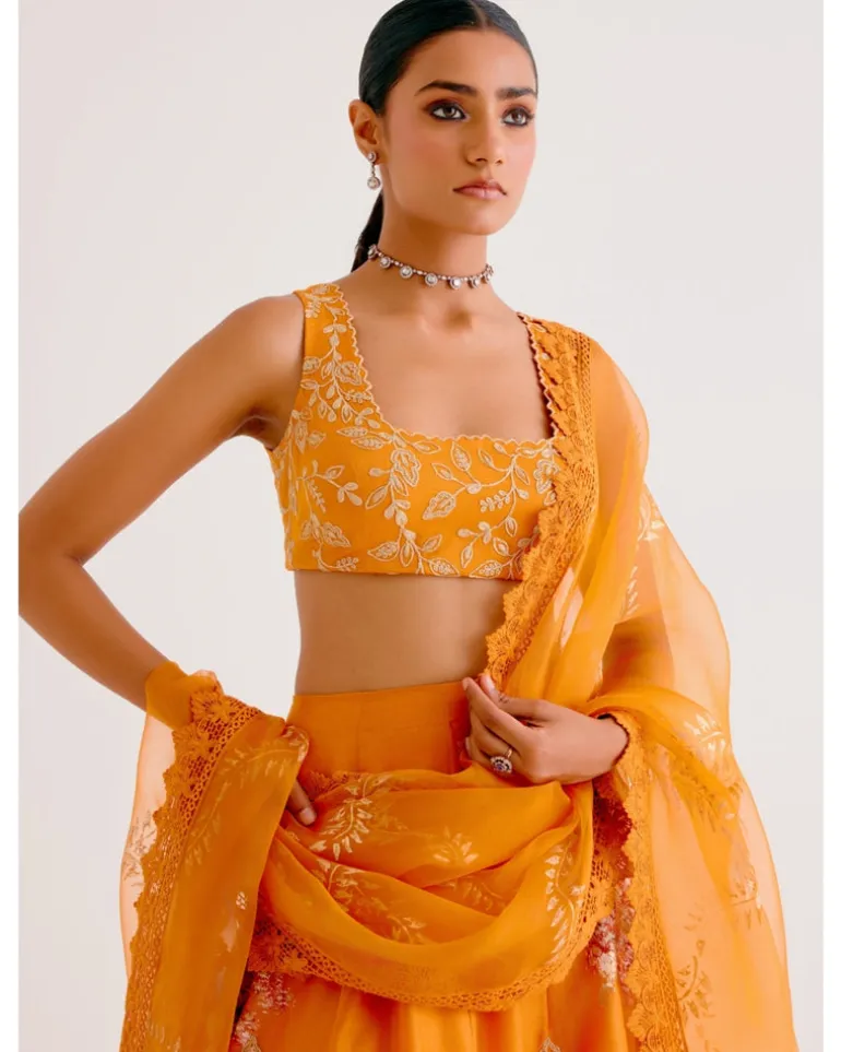Orange Silk Chanderi Hand-Painted Lehenga Set