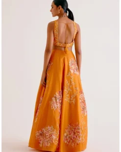 Orange Silk Chanderi Hand-Painted Lehenga Set