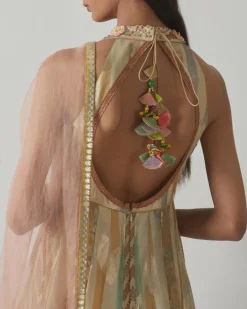 Organza Floral Anarkali Set