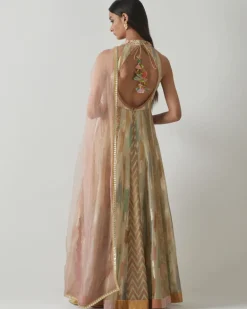 Organza Floral Anarkali Set