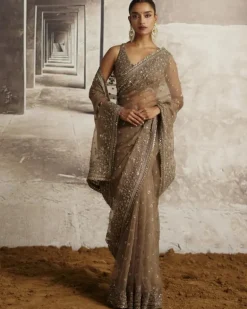Organza Sari With Sequin & Cutdana Embroidery