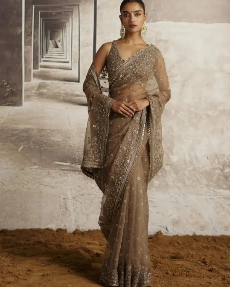 Organza Sari With Sequin & Cutdana Embroidery