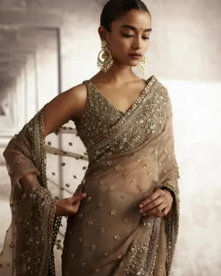 Organza Sari With Sequin & Cutdana Embroidery