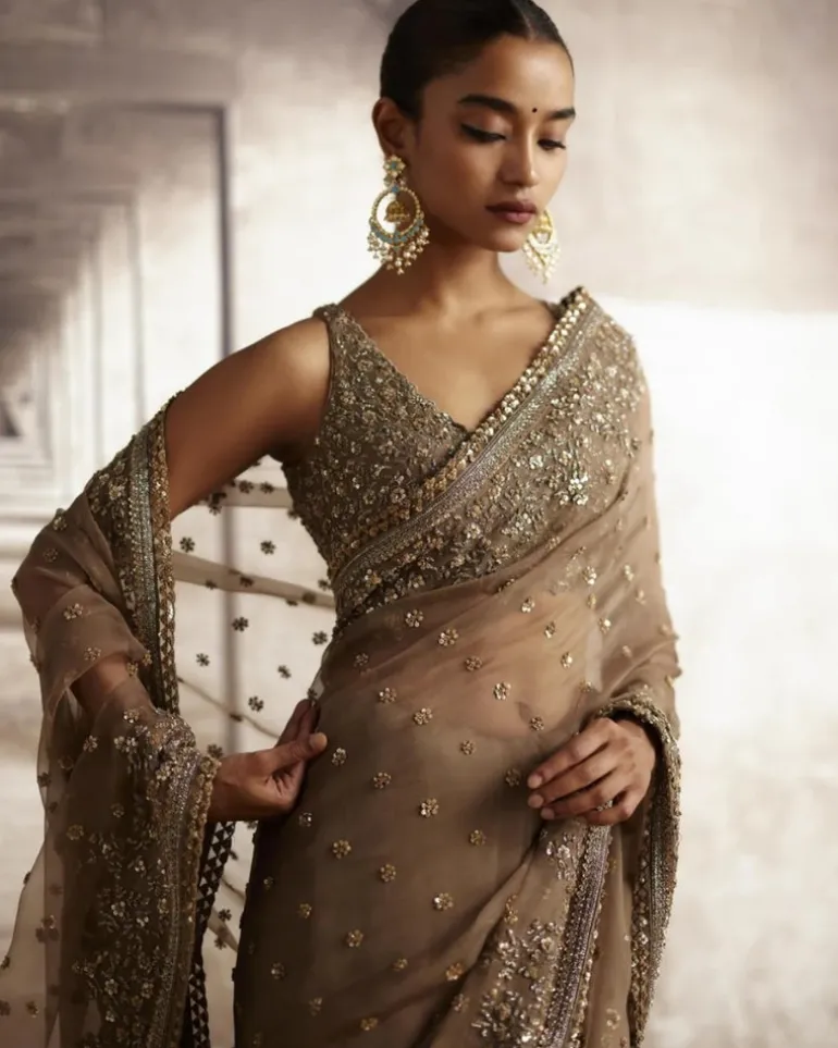 Organza Sari With Sequin & Cutdana Embroidery